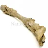 Antieke koe poot assemblage 53 cm