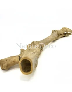 Antieke koe poot assemblage 53 cm