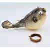 Ballon vis (puffer fish)