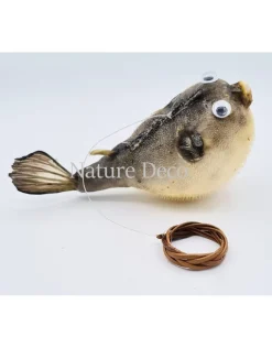 Ballon vis (puffer fish)