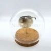 Ballon vis (puffer fish) in stolp 12 x 12cm