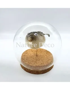 Ballon vis (puffer fish) in stolp 12 x 12cm