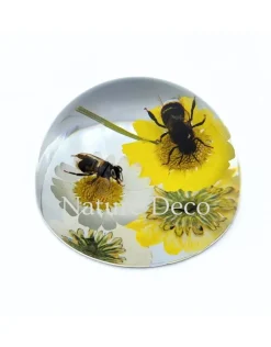 Bijen op bloemen in halve hars "dome" 6,5 x 6,5 x 3,5 cm