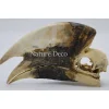 Bruinoorneushoornvogel schedel