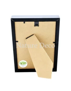 Creobroter Gemmatus duo in luxe 3D lijst 20,3 x 15,3 cm