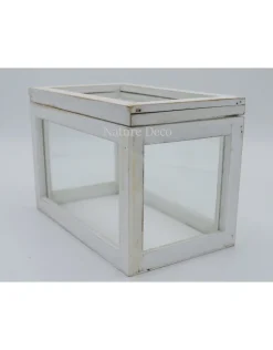 Display box wit medium 23x14x16,2 cm (LxWxH)