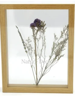 Dubbelglas lijst droogbloemen 27x22cm "paars"
