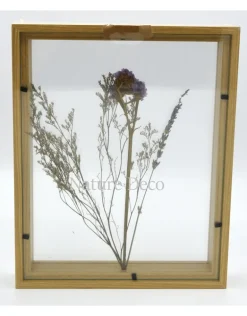 Dubbelglas lijst droogbloemen 27x22cm "paars"
