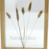 Dubbelglas lijst droogbloemen 27x22cm "naturel"