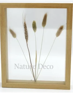Dubbelglas lijst droogbloemen 27x22cm "naturel"