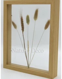 Dubbelglas lijst droogbloemen 27x22cm "naturel"