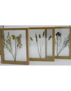 Dubbelglas lijst droogbloemen 27x22cm "naturel"