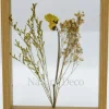 Dubbelglas lijst droogbloemen 27x22cm "geel"