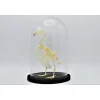 Duiven skelet in stolp 24,5cm x 17cm