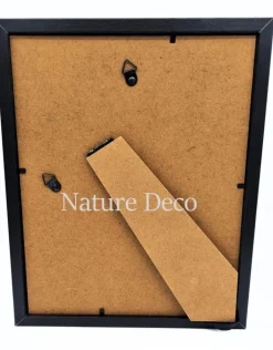 Eupatorus Gracillicornis in luxe 3D lijst 27 x 22 x 4,5 cm
