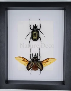 Extra dik luxe 3D lijst rechthoek 27 x 22 x 4,5cm