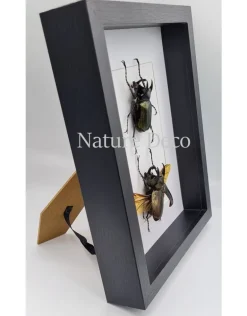 Extra dik luxe 3D lijst rechthoek 27 x 22 x 4,5cm 8 stuks