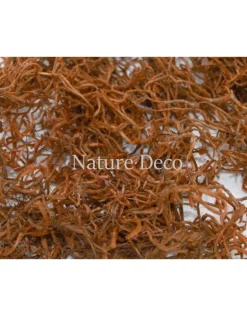 Gedroogd rood mos 10 gram