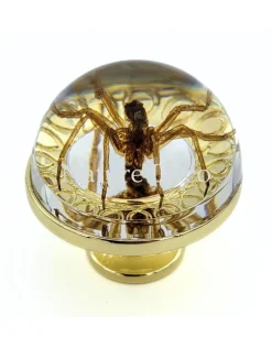 Gouden deurknop met waterspin 3,5 x 3,5 x 5 cm