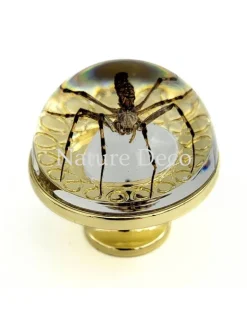 Gouden deurknop met wespspin 3,5 x 3,5 x 4 cm