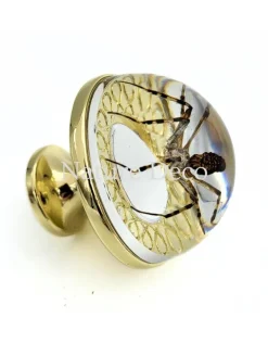 Gouden deurknop met wespspin 3,5 x 3,5 x 4 cm