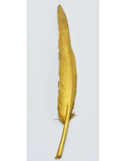 Gouden Ganzen veer