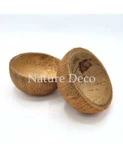 Halve kokosnoot (15cm x 6cm)