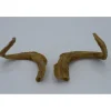 Hoorns set 1