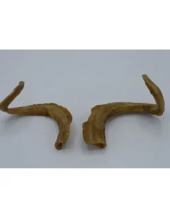 Hoorns set 1