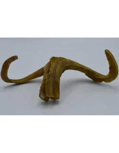 Hoorns set 1