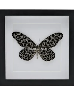 Idea Lynceus in luxe 3D lijst 22 x 22cm