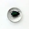 Insect in druppel #3