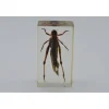 Insect in hars #2 7 x 4cm