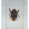 Insect in hars #13 7 x 4cm