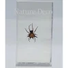 Insect in hars #30 7 x 4cm