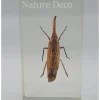 Insect in hars #7 7 x 4cm