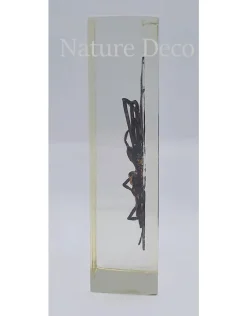 Insect in hars #29 10,5x 4,5 cm XL