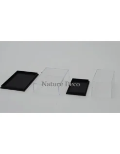 Insecten box doos showcase vitrine acrylaat model M2
