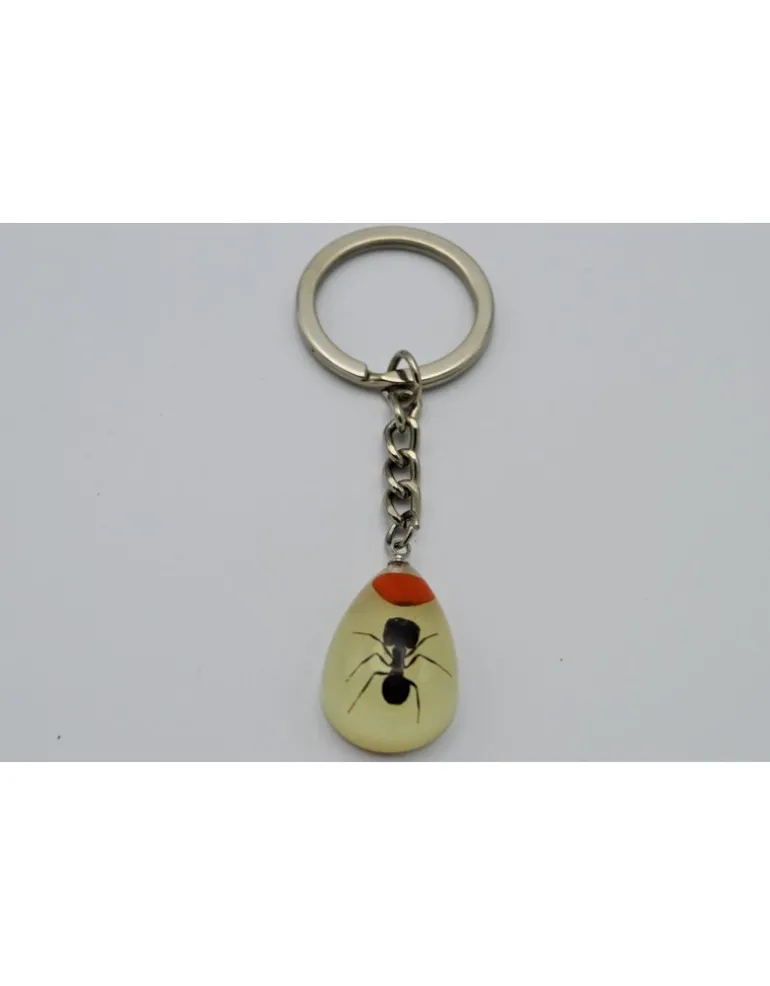 Insecten sleutelhanger #6