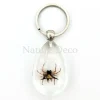 Insecten sleutelhanger #1