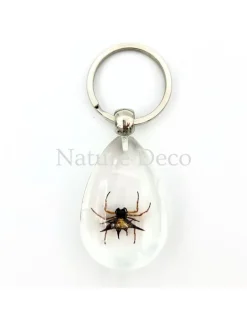 Insecten sleutelhanger #1
