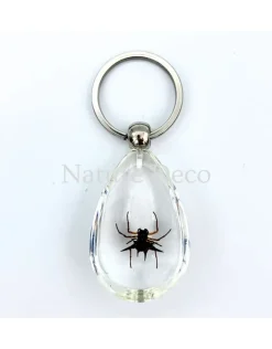 Insecten sleutelhanger #1