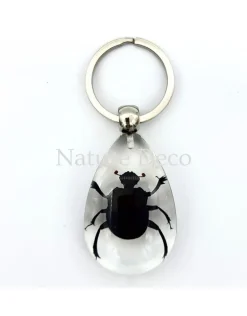 Insecten sleutelhanger #12