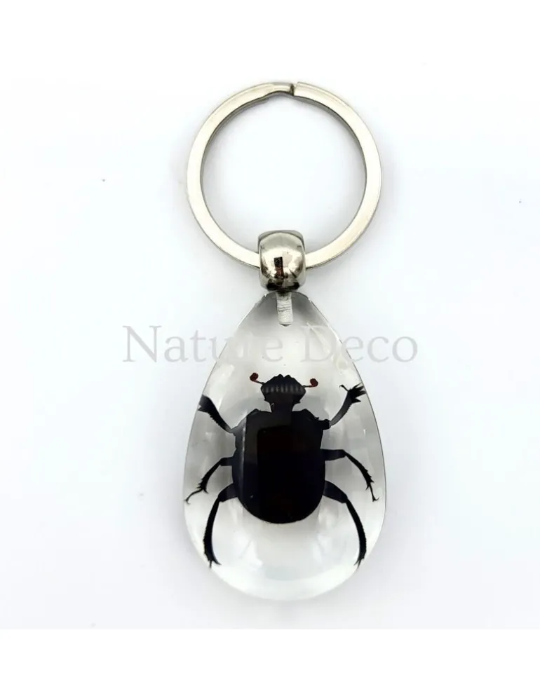 Insecten sleutelhanger #12