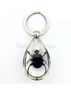Insecten sleutelhanger #12