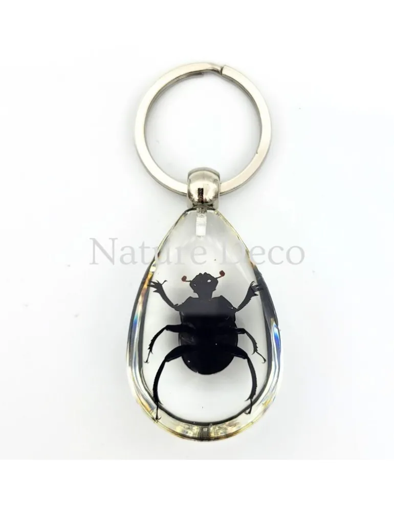 Insecten sleutelhanger #12