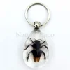 Insecten sleutelhanger #4