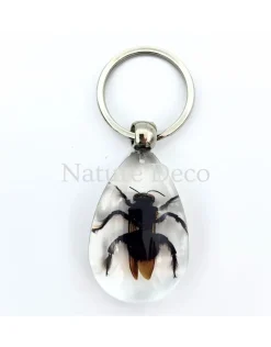 Insecten sleutelhanger #4