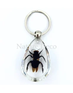 Insecten sleutelhanger #4