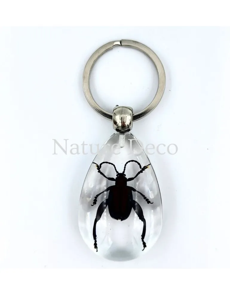 Insecten sleutelhanger #5